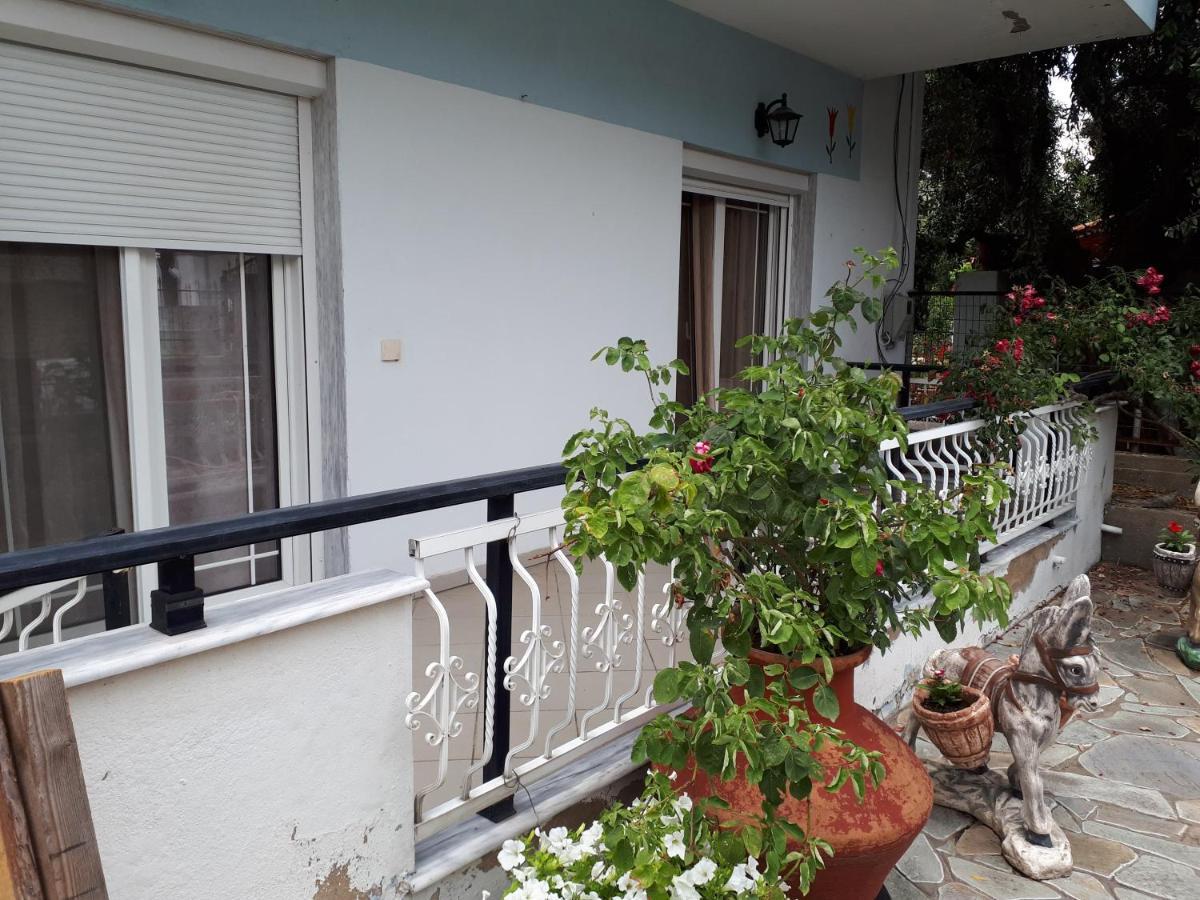 Popi 's Case de vacanță *